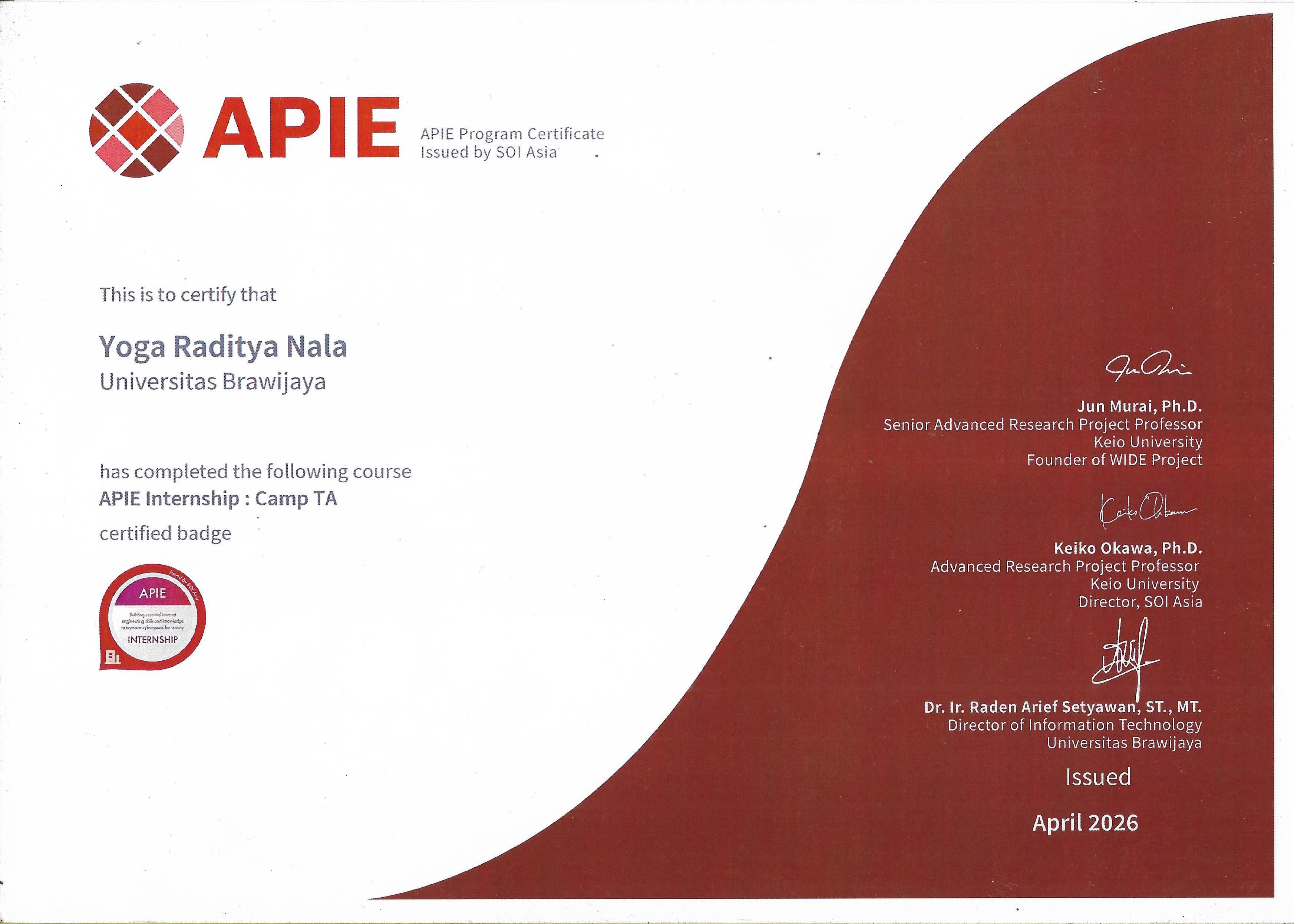 APIE Camp #09 Teaching Assistant